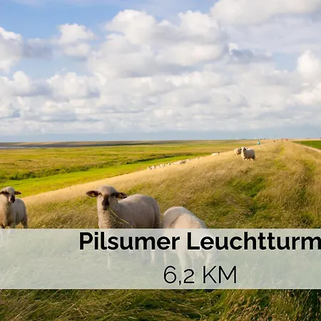 Διαμέρισμα Manslagter Diekkieker